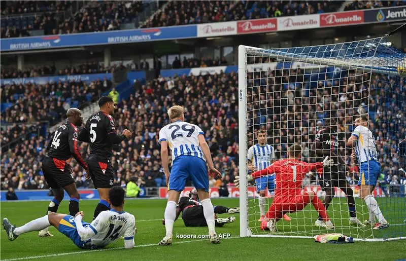 leicester city vs brighton