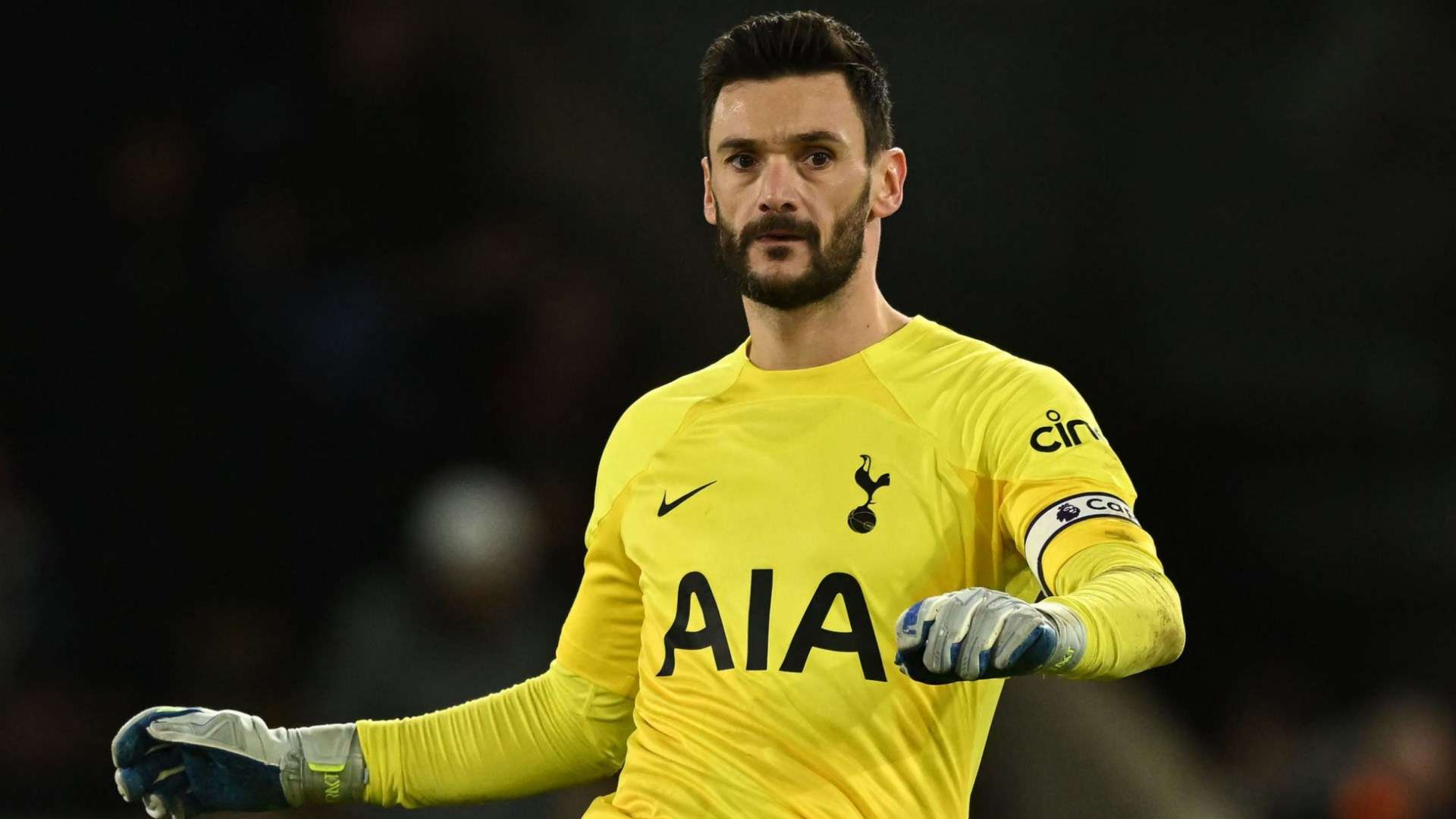 Hugo Lloris Tottenham