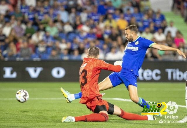 leicester city vs brighton