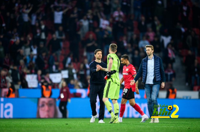 dortmund vs hoffenheim