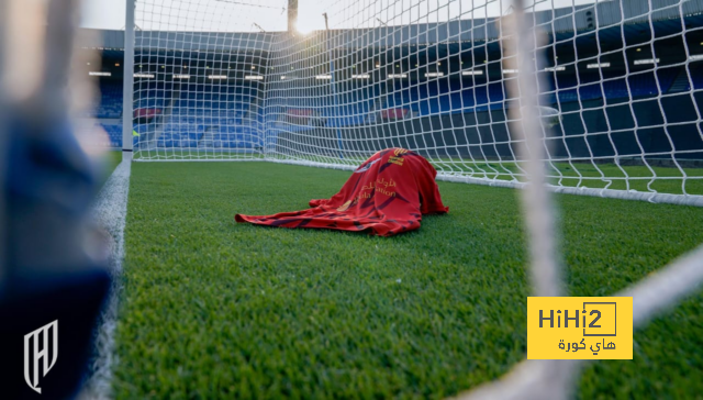 dortmund vs hoffenheim