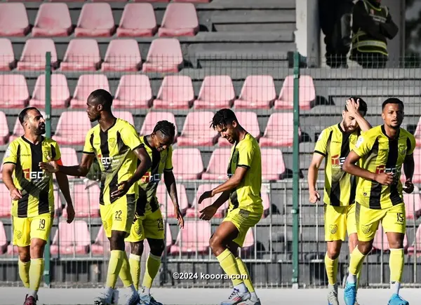 dortmund vs hoffenheim