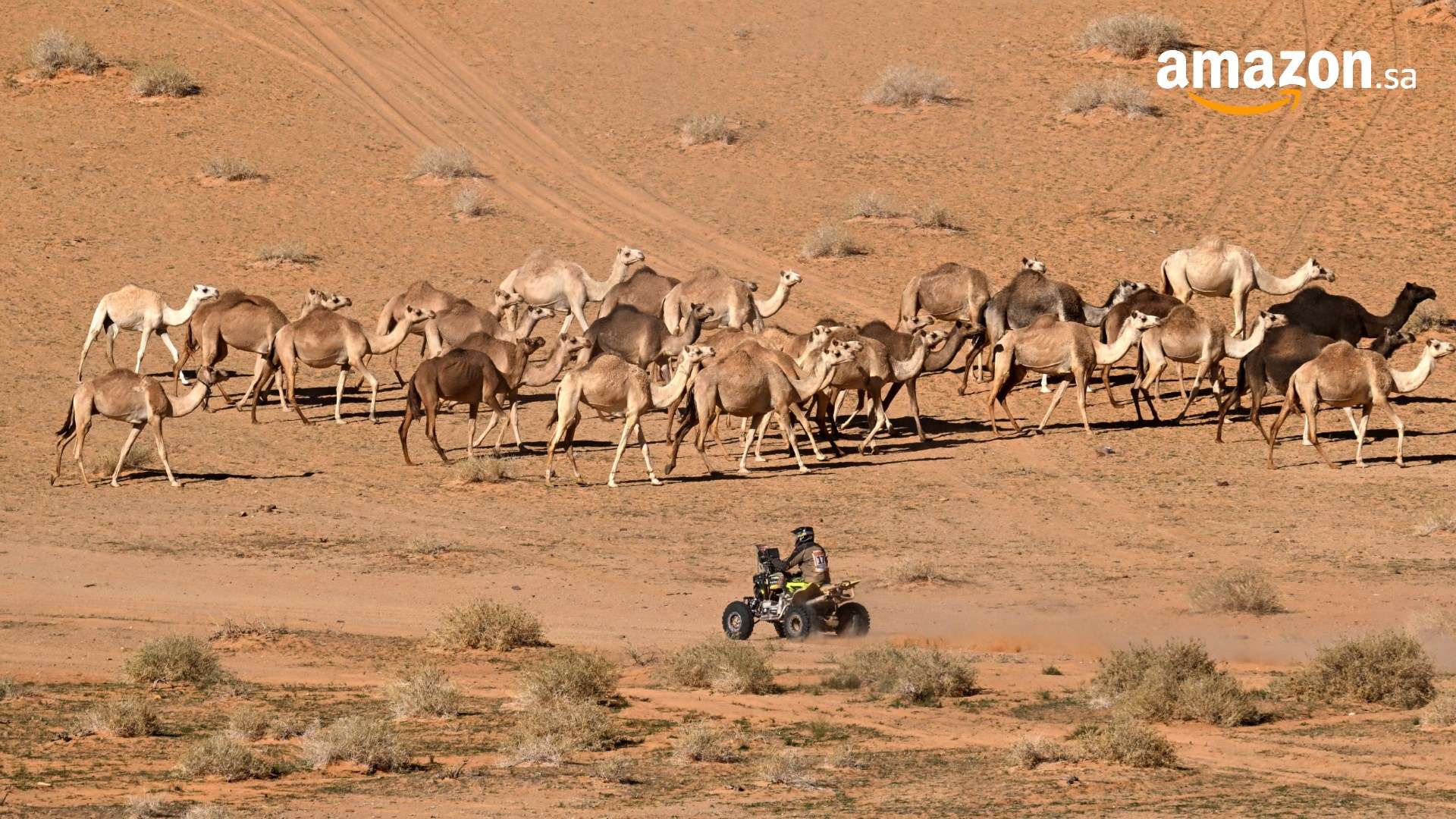 فرصة هويلوند للانتقام من نادي طفولته! هل سينجح نجم مانشستر يونايتد في تحقيق آمال الشياطين الحمر بدوري الأبطال؟ | 